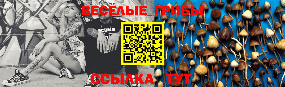 Галлюциногенные грибы MAGIC MUSHROOMS  Вход с VPN  Конаково 
